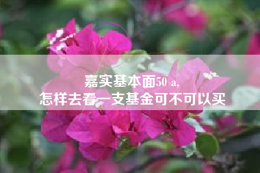 嘉实基本面50 a,
怎样去看一支基金可不可以买