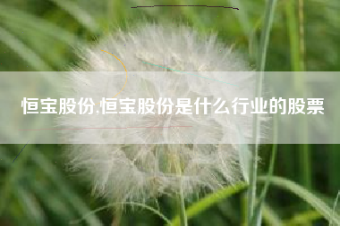 恒宝股份,恒宝股份是什么行业的股票