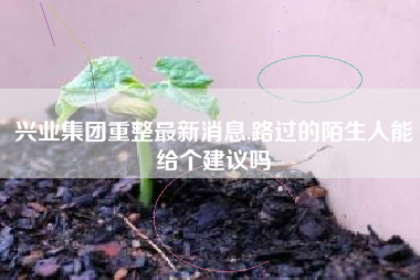 兴业集团重整最新消息,路过的陌生人能给个建议吗