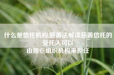 什么是信托机构,慈善法解读慈善信托的受托人可以
由哪些组织机构来担任 什么是信托机构,慈善法解读慈善信托的受托人可以
由哪些组织机构来担任