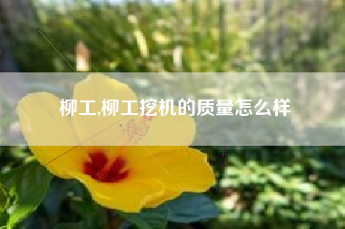 柳工,柳工挖机的质量怎么样