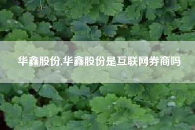 华鑫股份,华鑫股份是互联网券商吗