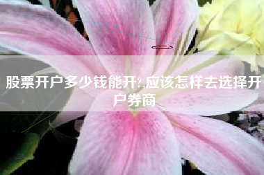 股票开户多少钱能开?,应该怎样去选择开户券商