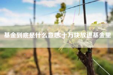 基金到底是什么意思,十万块放进基金里