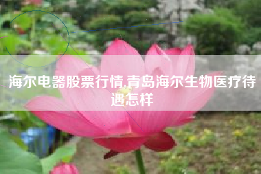 海尔电器股票行情,青岛海尔生物医疗待遇怎样