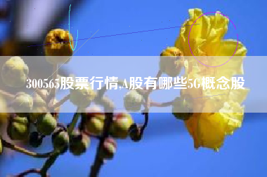 300565股票行情,A股有哪些5G概念股