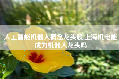 人工智能机器人概念龙头股,上海机电能成为机器人龙头吗