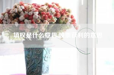 填权是什么意思,股票获利的意思