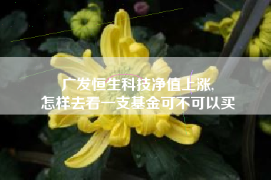 广发恒生科技净值上涨,
怎样去看一支基金可不可以买