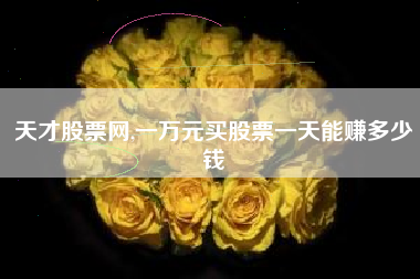 天才股票网,一万元买股票一天能赚多少钱