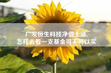 广发恒生科技净值上涨,
怎样去看一支基金可不可以买