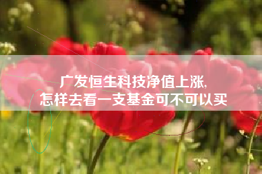 广发恒生科技净值上涨,
怎样去看一支基金可不可以买