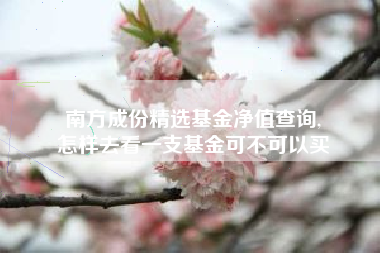 南方成份精选基金净值查询,
怎样去看一支基金可不可以买