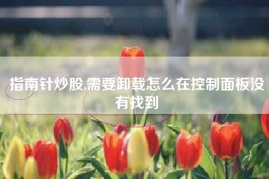 指南针炒股,需要卸载怎么在控制面板没有找到