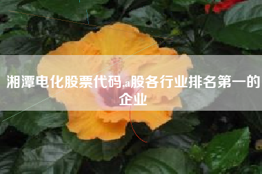 湘潭电化股票代码,a股各行业排名第一的企业