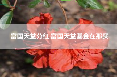 富国天益分红,富国天益基金在那买