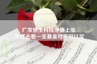 广发恒生科技净值上涨,
怎样去看一支基金可不可以买