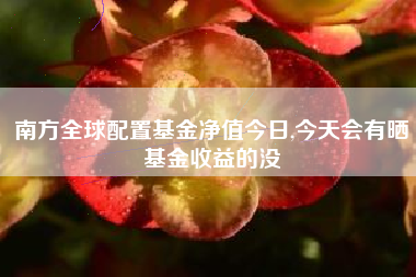 南方全球配置基金净值今日,今天会有晒基金收益的没