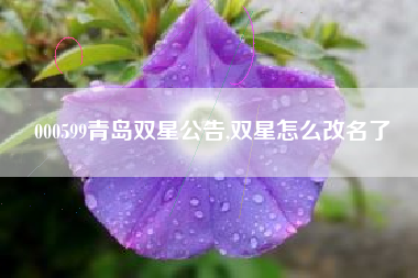 000599青岛双星公告,双星怎么改名了