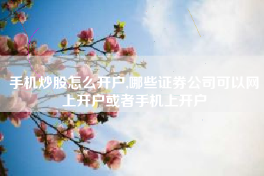 手机炒股怎么开户,哪些证券公司可以网上开户或者手机上开户