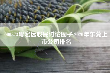 000573粤宏远股民讨论圈子,2020年东莞上市公司排名