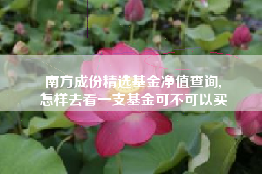 南方成份精选基金净值查询,
怎样去看一支基金可不可以买