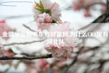 金健米业股票东方财富网,为什么CBA没有河北队