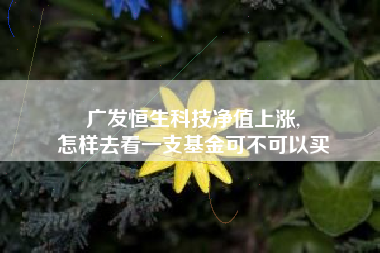 广发恒生科技净值上涨,
怎样去看一支基金可不可以买