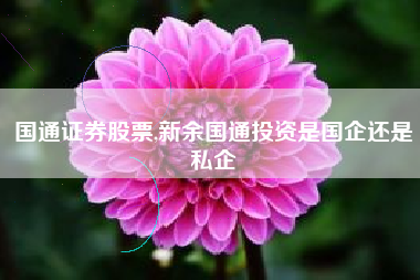 国通证券股票,新余国通投资是国企还是私企