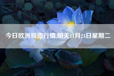 今日欧洲股市行情,明天11月24日星期二
