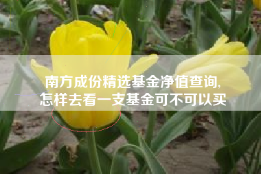 南方成份精选基金净值查询,
怎样去看一支基金可不可以买