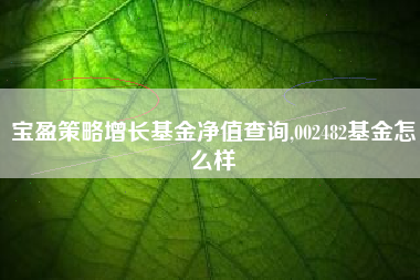 宝盈策略增长基金净值查询,002482基金怎么样