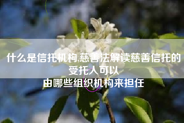 什么是信托机构,慈善法解读慈善信托的受托人可以
由哪些组织机构来担任 什么是信托机构,慈善法解读慈善信托的受托人可以
由哪些组织机构来担任