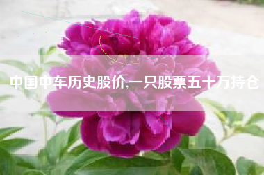 中国中车历史股价,一只股票五十万持仓