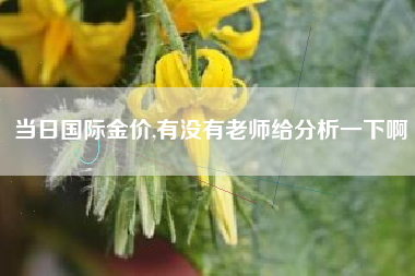 当日国际金价,有没有老师给分析一下啊