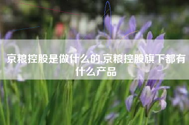京粮控股是做什么的,京粮控股旗下都有什么产品