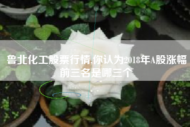 鲁北化工股票行情,你认为2018年A股涨幅前三名是哪三个