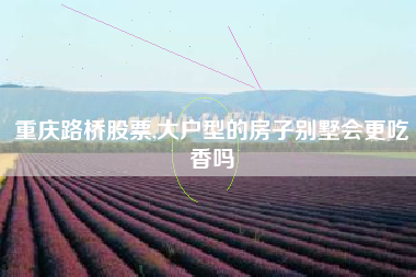 重庆路桥股票,大户型的房子别墅会更吃香吗