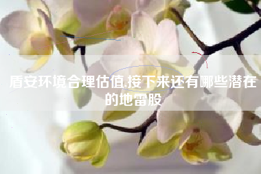 盾安环境合理估值,接下来还有哪些潜在的地雷股