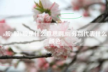 a股b股h股是什么意思啊,BU分别代表什么颜色
