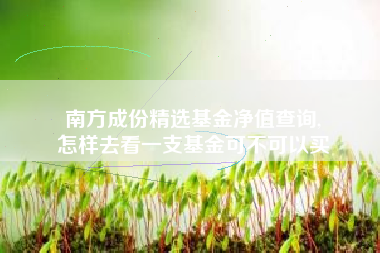 南方成份精选基金净值查询,
怎样去看一支基金可不可以买
