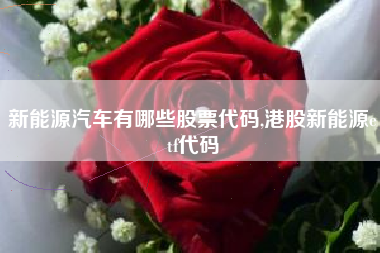 新能源汽车有哪些股票代码,港股新能源etf代码