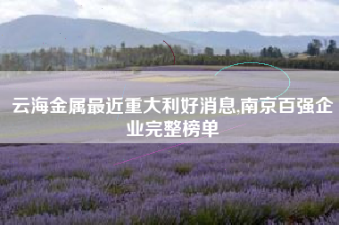 云海金属最近重大利好消息,南京百强企业完整榜单