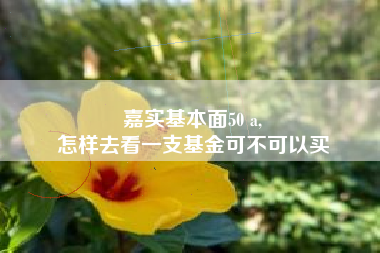 嘉实基本面50 a,
怎样去看一支基金可不可以买