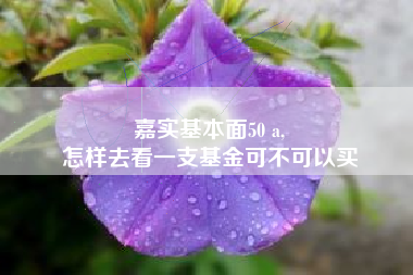 嘉实基本面50 a,
怎样去看一支基金可不可以买