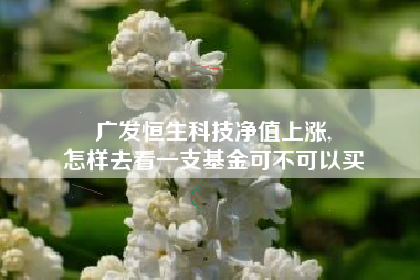 广发恒生科技净值上涨,
怎样去看一支基金可不可以买