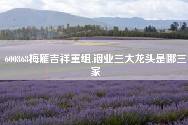 600868梅雁吉祥重组,铟业三大龙头是哪三家
