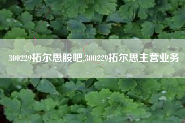 300229拓尔思股吧,300229拓尔思主营业务