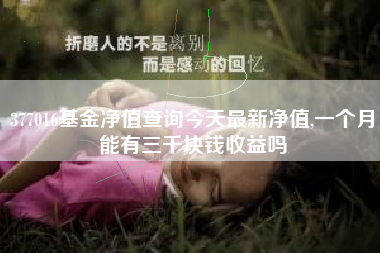 377016基金净值查询今天最新净值,一个月能有三千块钱收益吗