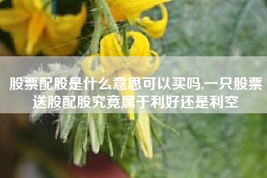 股票配股是什么意思可以买吗,一只股票送股配股究竟属于利好还是利空